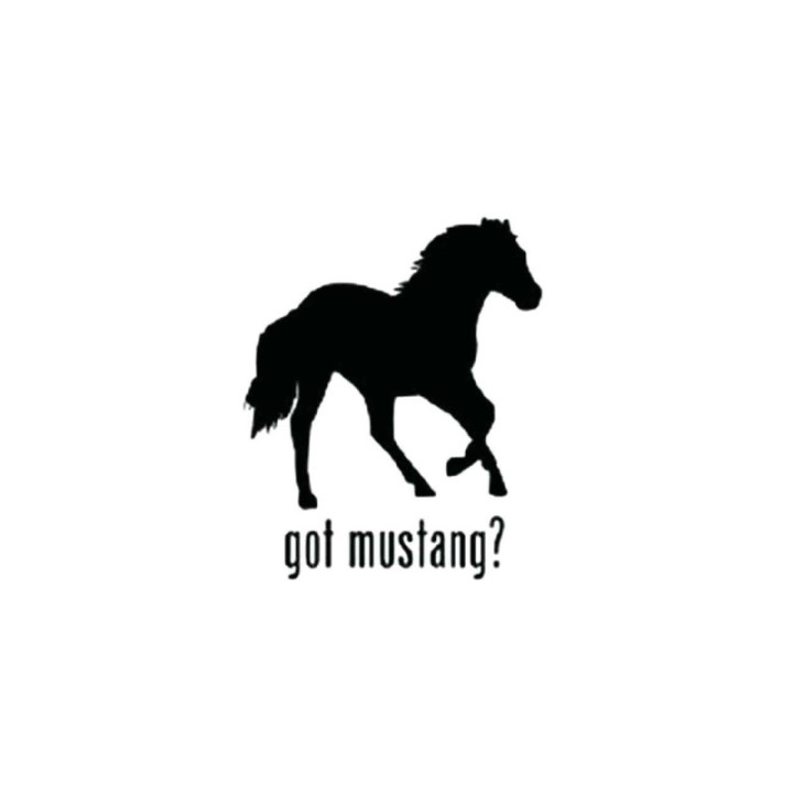 Horse Vinyl Decal Sticker V112 - DecalsHouse