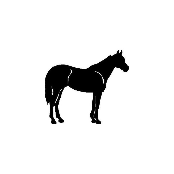Horse Silhouette Stickers – Equestrian Decals (2-Pack)