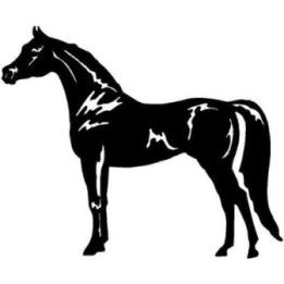 Horse Silhouette Stickers – Equestrian Decals (2-Pack)