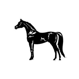 Horse Silhouette Stickers – Equestrian Decals (2-Pack)