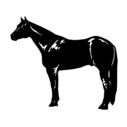 Horse Stickers – Standing Silhouette Equestrian Decals (2-Pack)