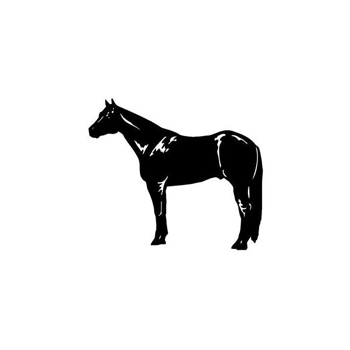Horse Stickers – Standing Silhouette Equestrian Decals (2-Pack)
