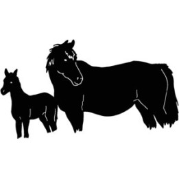 Mare & Foal Horse Stickers – Equestrian Decals (2-Pack)