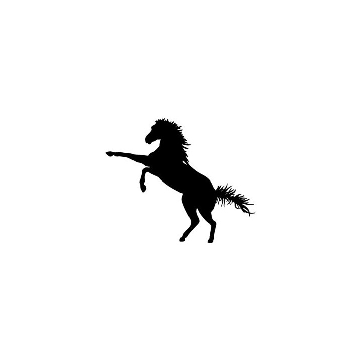 Rearing Horse Stickers – Stallion Silhouette Decals (2-Pack)