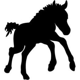 Foal Stickers – Baby Horse Silhouette Decals (2-Pack)