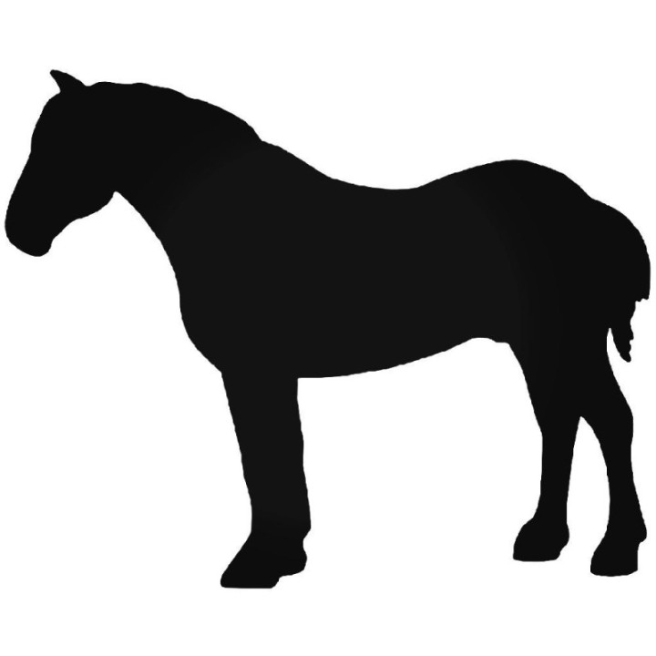 Horse Silhouette Stickers – Equestrian Decals (2-Pack)