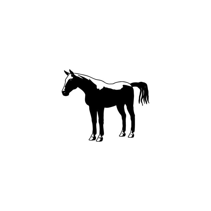 Horse Silhouette Stickers – Equestrian Decals (2-Pack)
