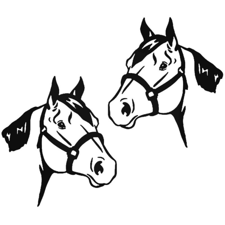 Horse Head Stickers – Equestrian Decals (2-Pack)