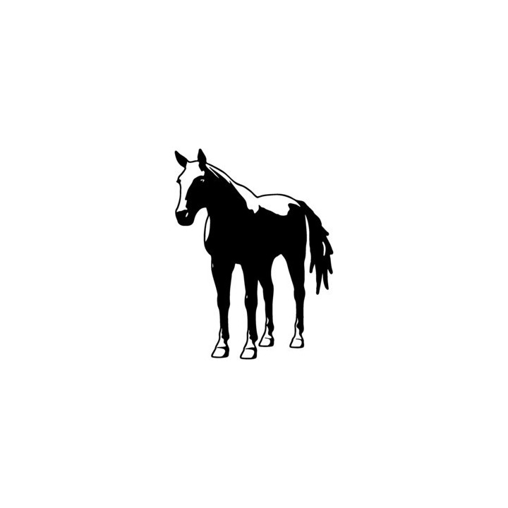 Horse Stickers – Stallion Silhouette Equestrian Decals (2-Pack)