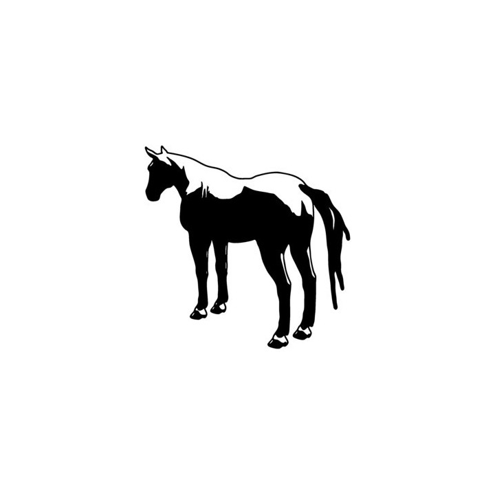 Paint Horse Stickers – Western Equestrian Decals (2-Pack)