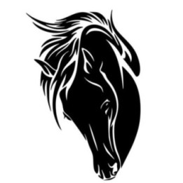 Horse Head Portrait Stickers – Equine Mane Decals (2-Pack)