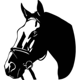 Horse Head Stickers – Equestrian Bridle Decals (2-Pack)
