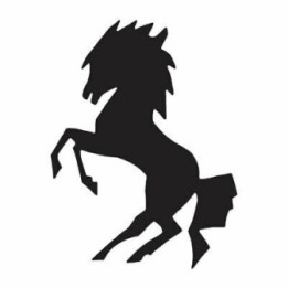 Rearing Horse Stickers – Equestrian Decals (2-Pack)