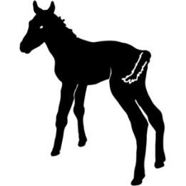 Foal Stickers – Baby Horse Silhouette Decals (2-Pack)