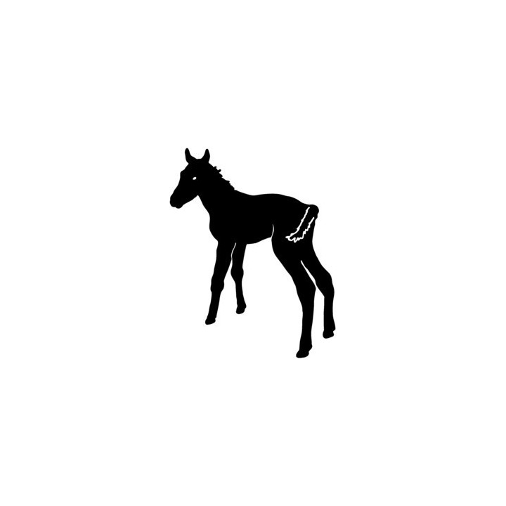 Foal Stickers – Baby Horse Silhouette Decals (2-Pack)