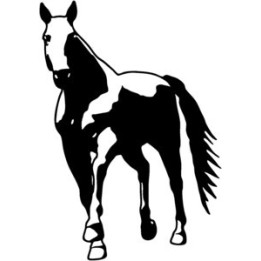 Horse Stickers – Stallion Portrait Decals (2-Pack)