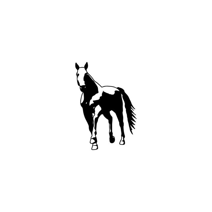 Horse Stickers – Stallion Portrait Decals (2-Pack)