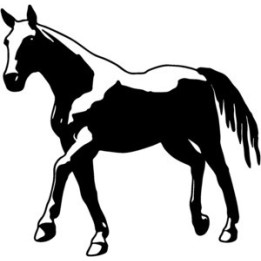Horse Stickers – Paint Horse Equestrian Decals (2-Pack)