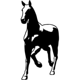 Horse Stickers – Silhouette Equestrian Decals (2-Pack)