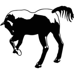 Horse Foal Silhouette Stickers – Equestrian Decals (2-Pack)