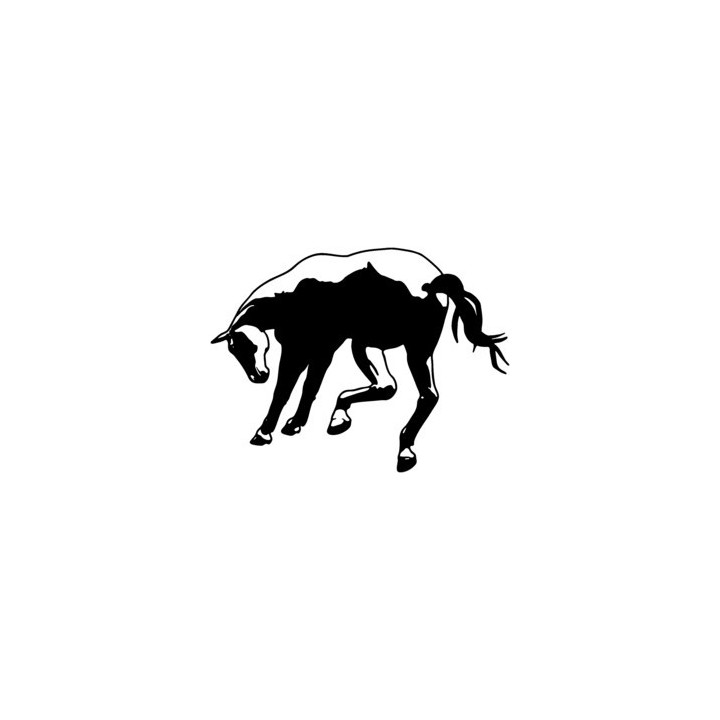 Horse Stickers – Equine Silhouette Decals (2-Pack)