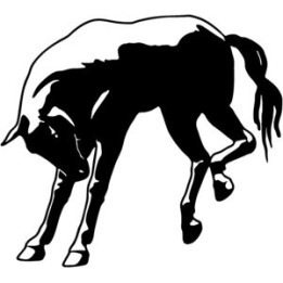Horse Grazing Stickers – Equestrian Pony Decals (2-Pack)