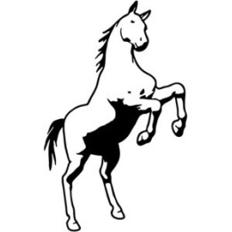 Horse Rearing Stickers – Equestrian Decals (2-Pack)