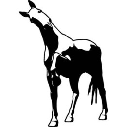 Horse Stickers – Stallion Silhouette Equestrian Decals (2-Pack)