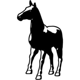 Horse Foal Stickers – Equestrian Pony Decals (2-Pack)