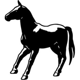 Horse Stickers – Mustang Stallion Equestrian Decals (2-Pack)
