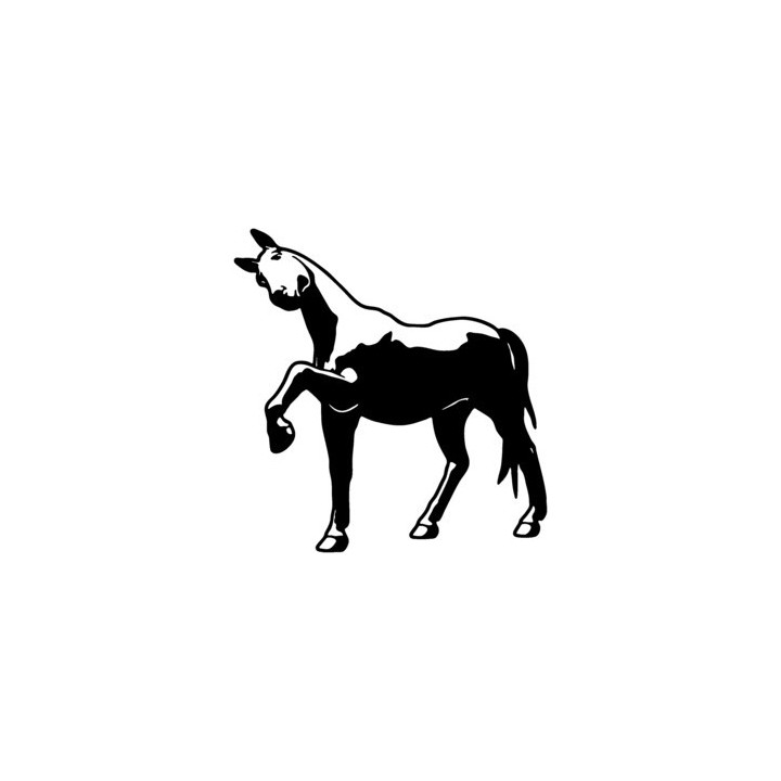 Horse Stickers – Equestrian Ranch Decals (2-Pack)