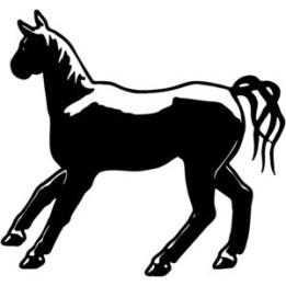 Horse Foal Silhouette Stickers – Equestrian Decals (2-Pack)