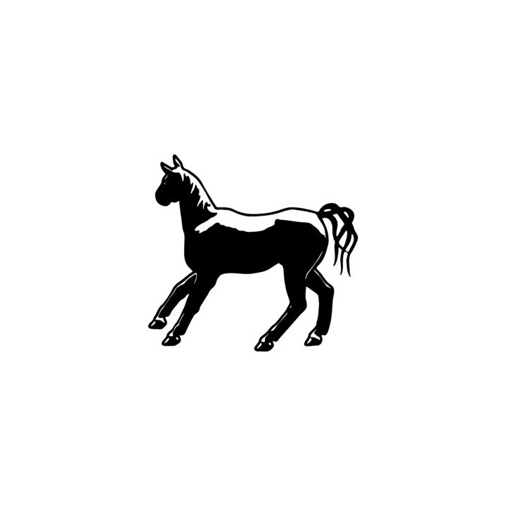 Horse Foal Silhouette Stickers – Equestrian Decals (2-Pack)
