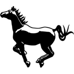 Galloping Horse Stickers – Equestrian Decals (2-Pack)