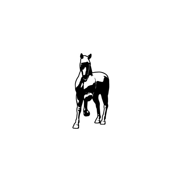 Horse Stickers – Standing Horse Decals (2-Pack)