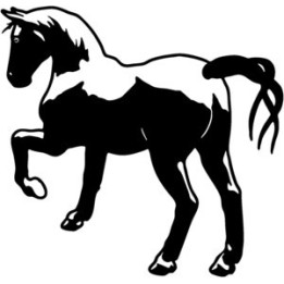 Horse Stickers – Equestrian Decals Horse Lover (2-Pack)