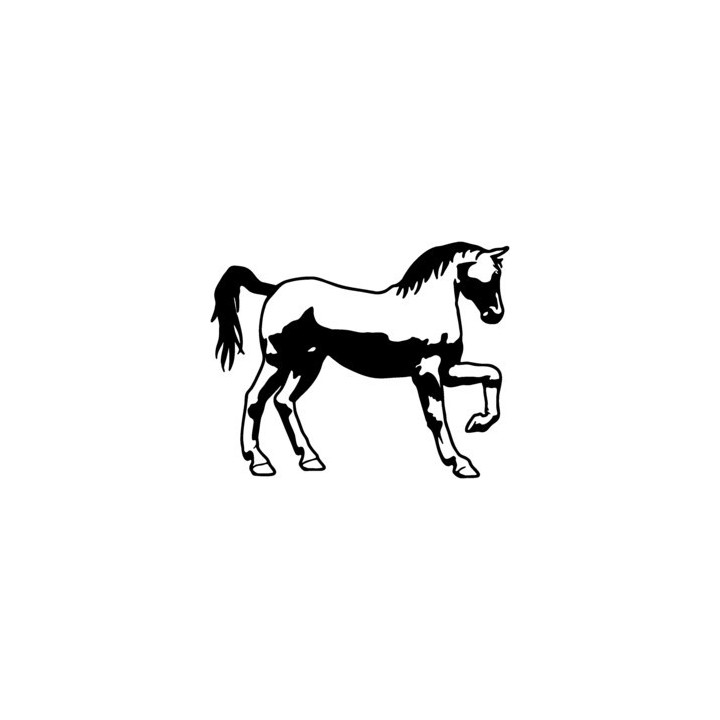 Horse Stickers – Mustang Equestrian Decals (2-Pack)