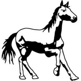 Horse Silhouette Stickers – Equestrian Decals (2-Pack)
