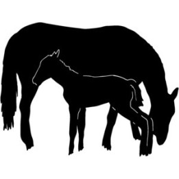 Mare & Foal Horse Stickers – Silhouette Decals (2-Pack)
