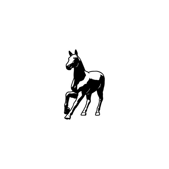 Horse Stickers – Foal Stallion Equestrian Decals (2-Pack)