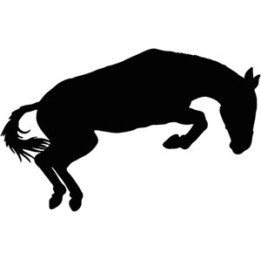 Horse Jumping Stickers – Equestrian Decals (2-Pack)