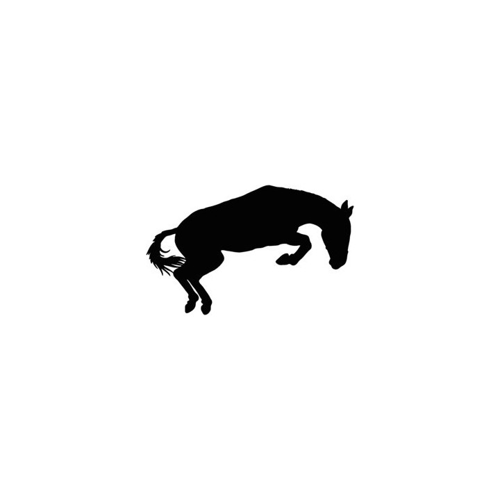 Horse Jumping Stickers – Equestrian Decals (2-Pack)