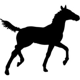Horse Foal Silhouette Stickers – Equestrian Decals (2-Pack)