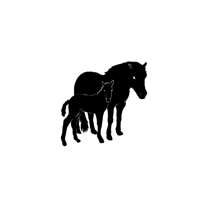 Horse Vinyl Decal Sticker V66 - DecalsHouse