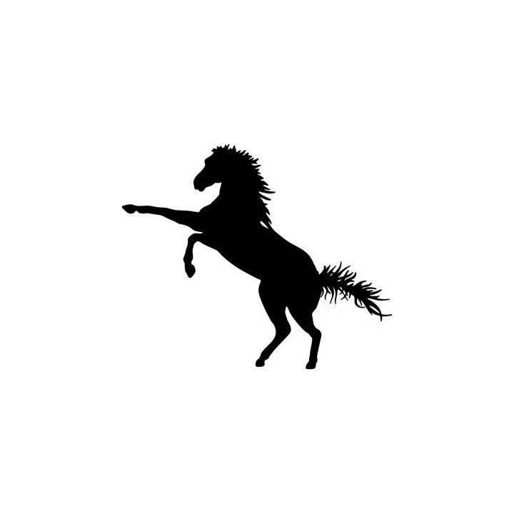 Horse Vinyl Decal Sticker V67 - DecalsHouse