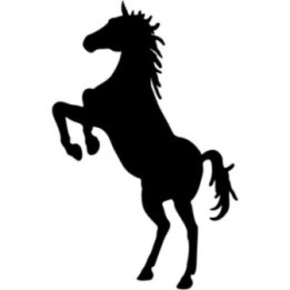Horse Vinyl Decal Sticker V69 - DecalsHouse