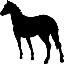 Horse Vinyl Decal Sticker V7 - DecalsHouse