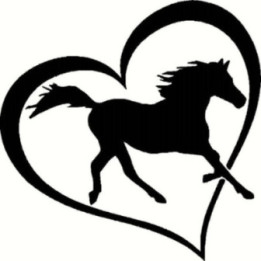 Horse Vinyl Decal Sticker V71 - DecalsHouse