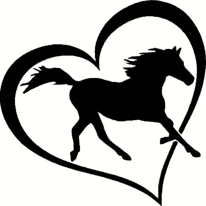 Horse Vinyl Decal Sticker V71 - DecalsHouse