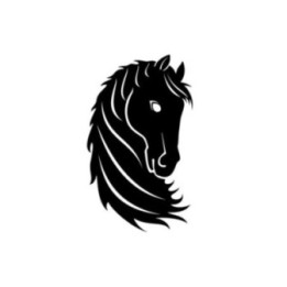 Horse Vinyl Decal Sticker V72 - DecalsHouse